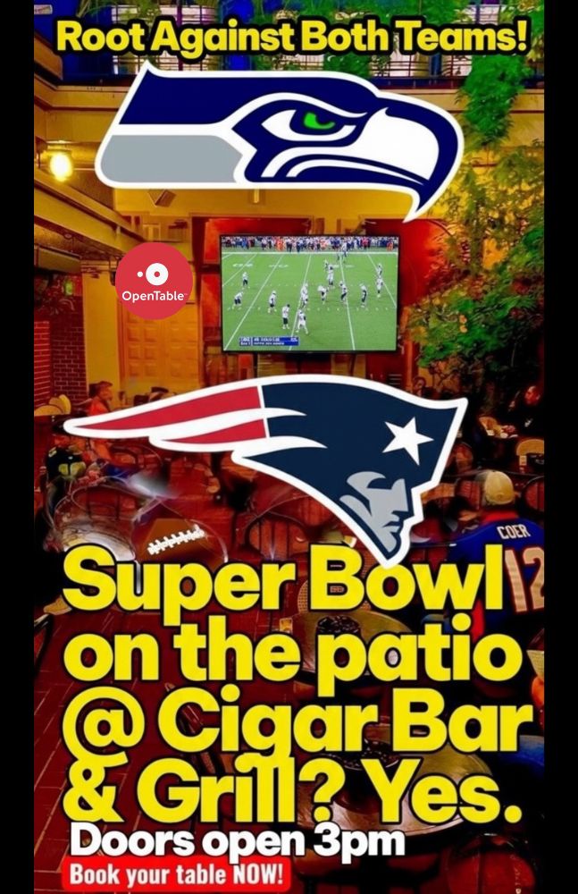 Super Bowl LX TV Watch Party
